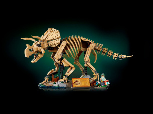 Конструкторы LEGO Jurassic World™ 77985 Окаменелости динозавров: Трицератопс, фото 1