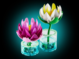 Конструкторы LEGO Botanicals 11511 Водяные лилии, фото 1