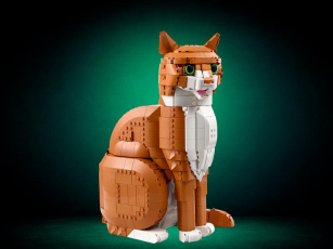 Конструкторы LEGO Ideas 21376 Рыжий кот, фото 1