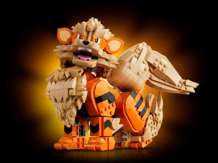Конструкторы LEGO Pokemon 72160 Арканайн, фото 1