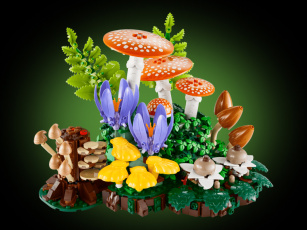 Конструкторы LEGO Botanicals 11505 Лесные грибы, фото 1