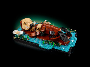 Конструкторы LEGO Ideas 21366 Плавающая выдра, фото 1