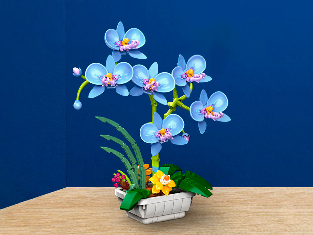 Конструктор JAKI