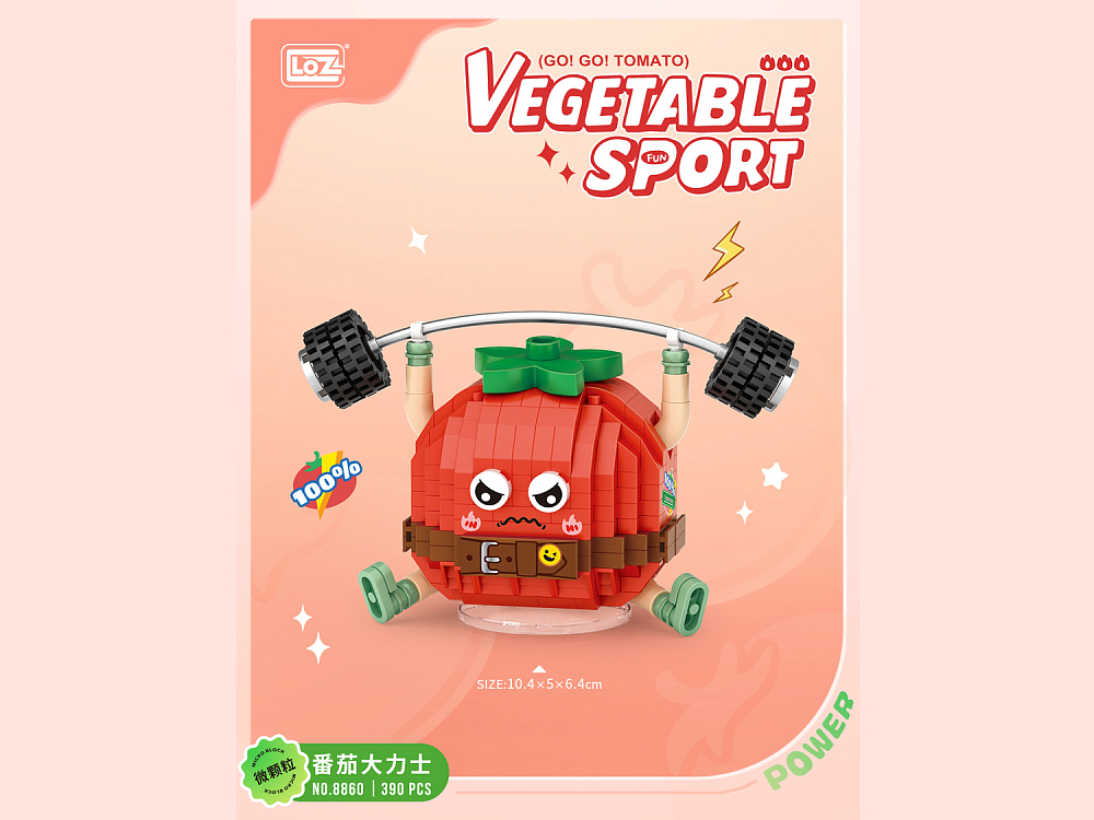 Конструктор LOZ