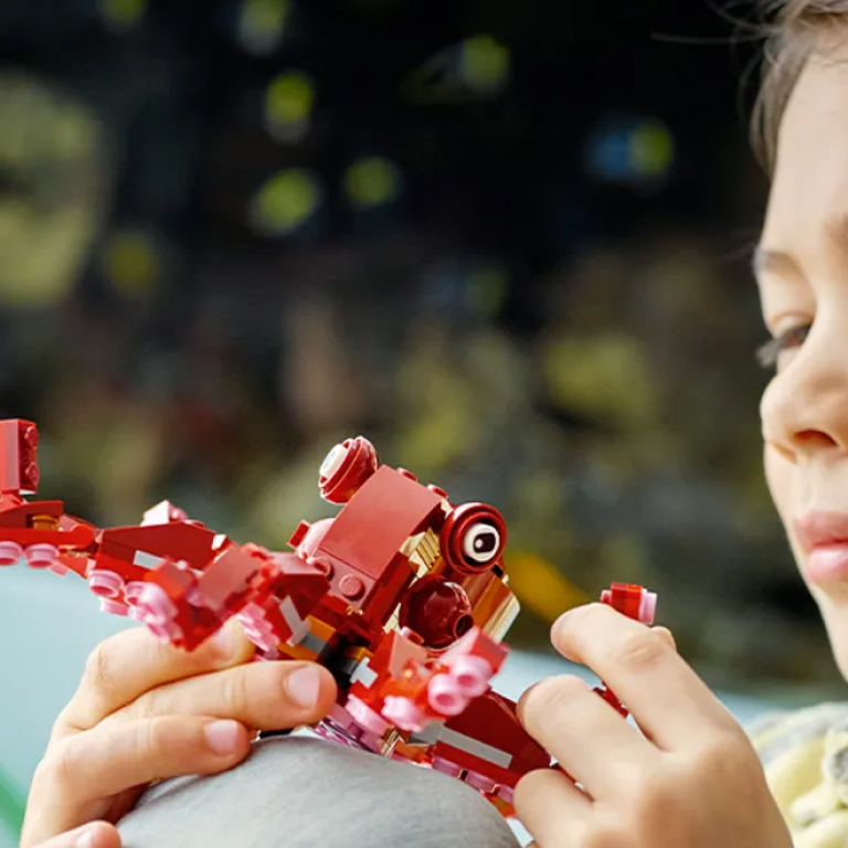 Конструктор LEGO Creator (Креатор) 31130 Миссия по поиску затонувших ...