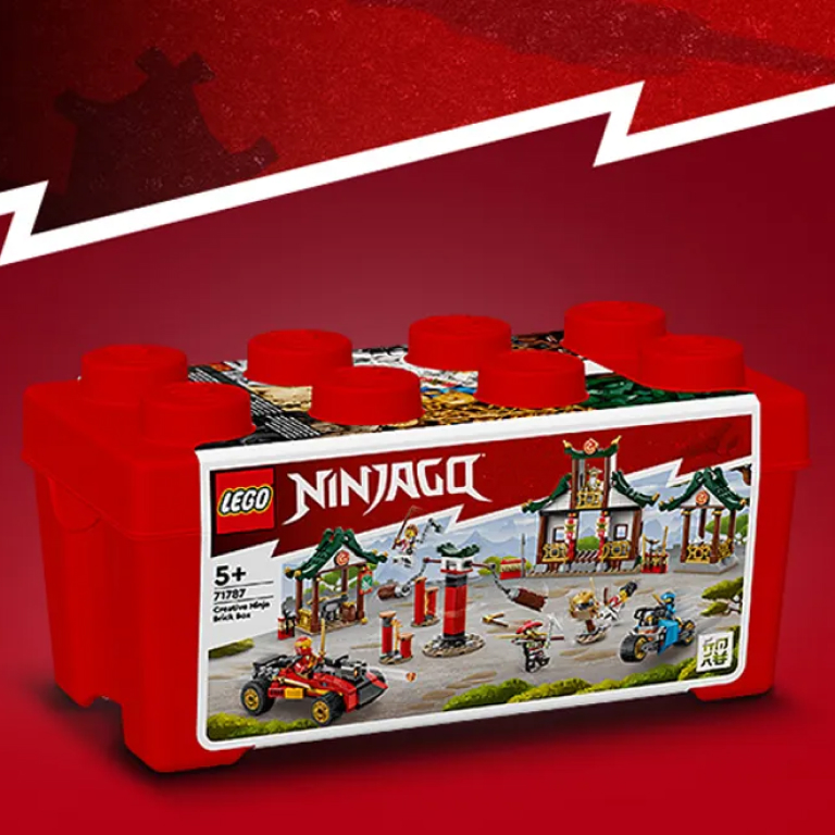 Конструктор LEGO Ninjago (Ниндзяго) 71787 Коробка ниндзя для творчества ...